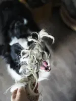 羊毛香腸：圖片 2
