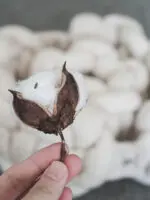 嗅聞狂熱：圖片 8