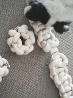 嗅聞狂熱：圖片 10