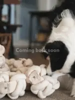 嗅聞狂熱